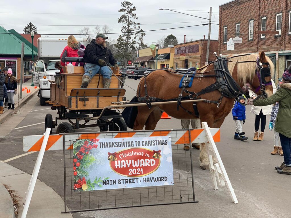 Horse Drawn Ride - Christmas In Hayward Event