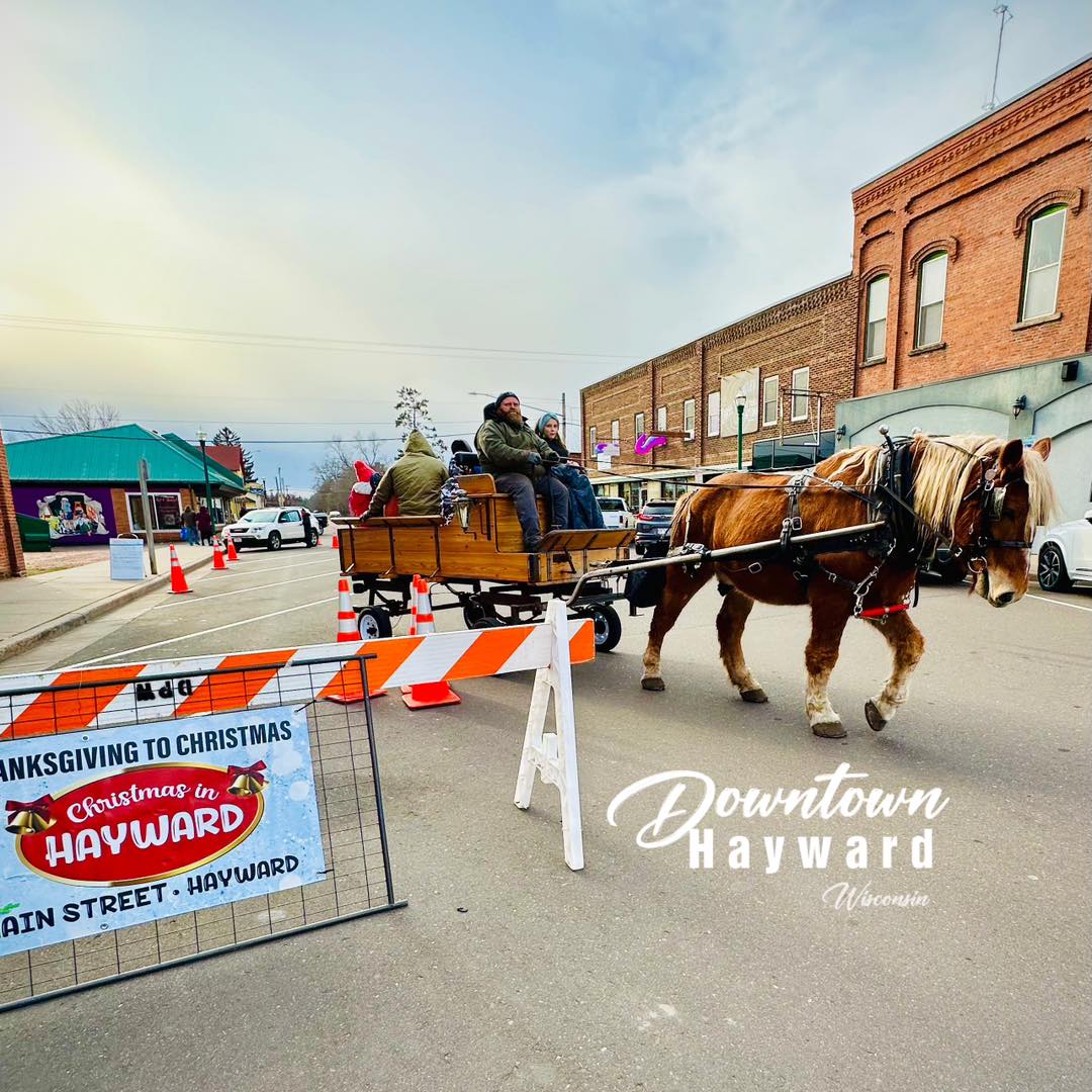 Horse-drawn Rides Christmas in Hayward